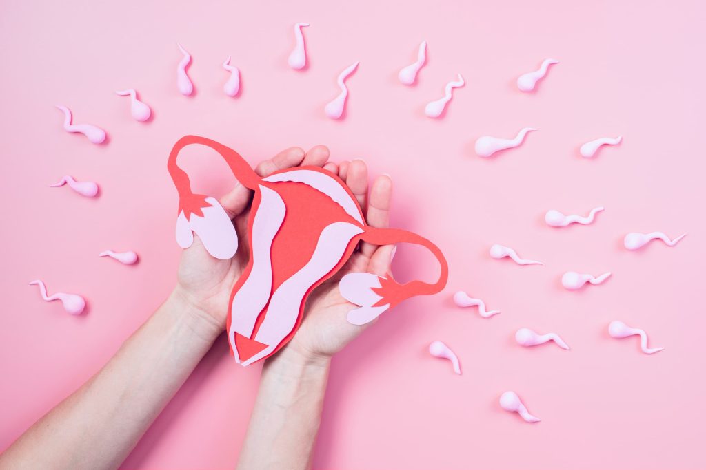 Utero de papel sobre unas manos rodeado de espermatoozoides