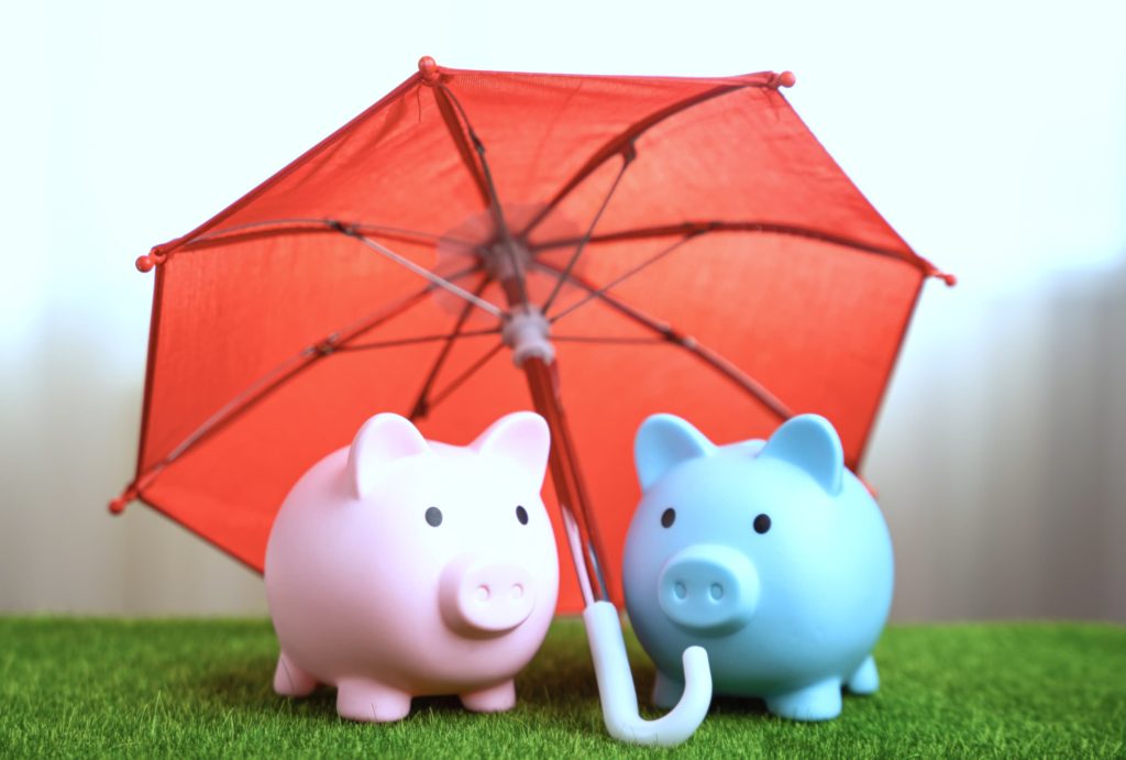 Dos cerditos con una sombrilla sobre ellos